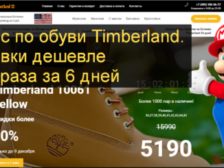 Кейс Яндекс Директ обувь Timberland