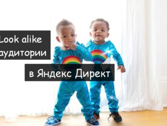 Look alike аудитории в Яндекс Директ