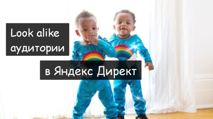 Look alike аудитории в Яндекс Директ Look alike аудитории в Яндекс Директ